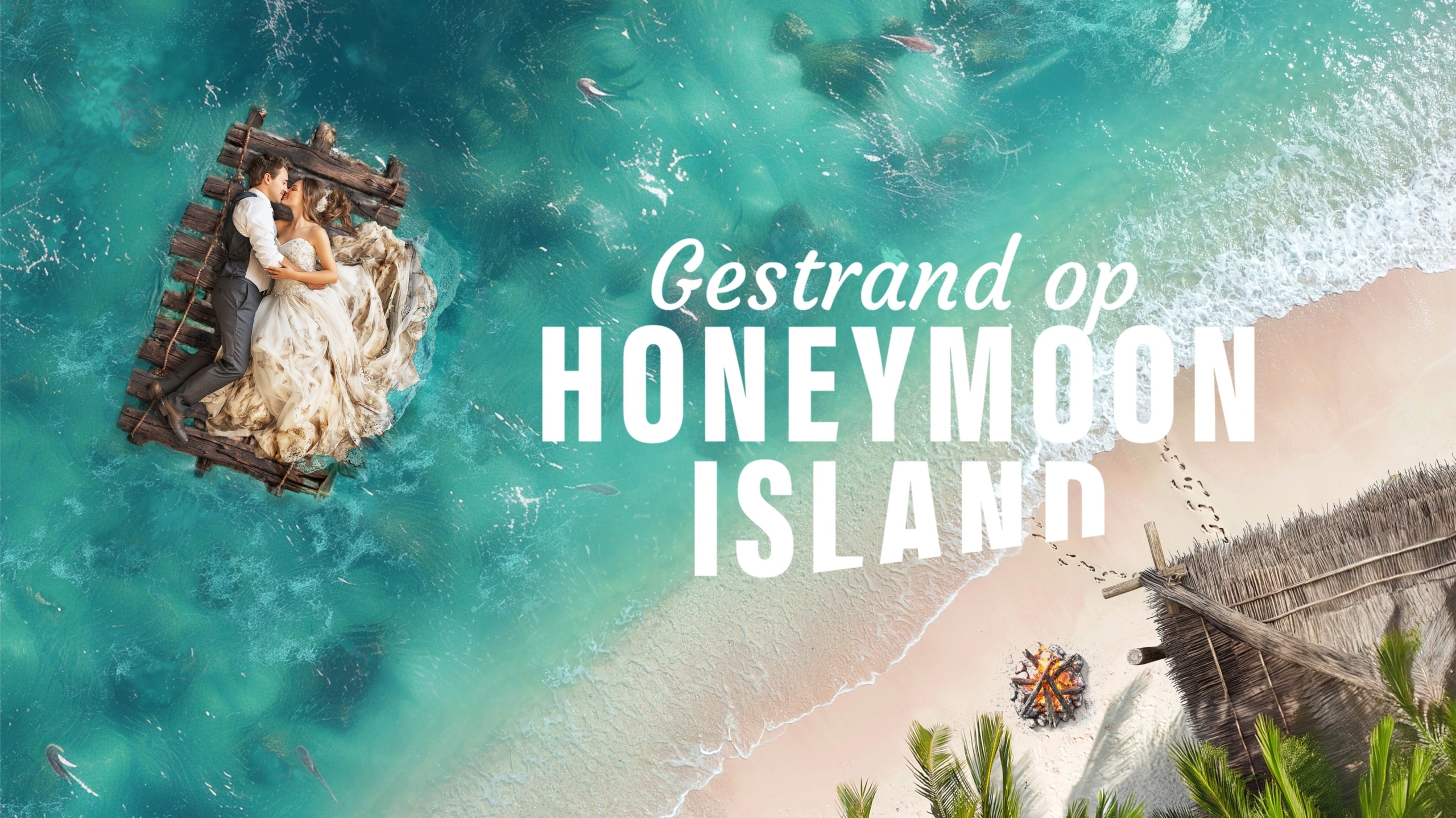Gestrand op Honeymoon Island Videoland